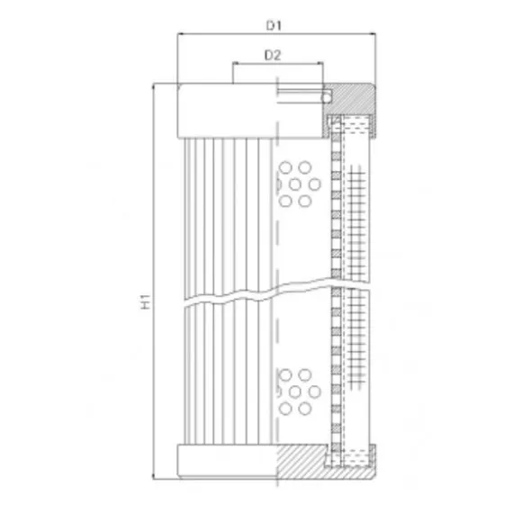 Filtrec D112G06BV hidraulika szűrő