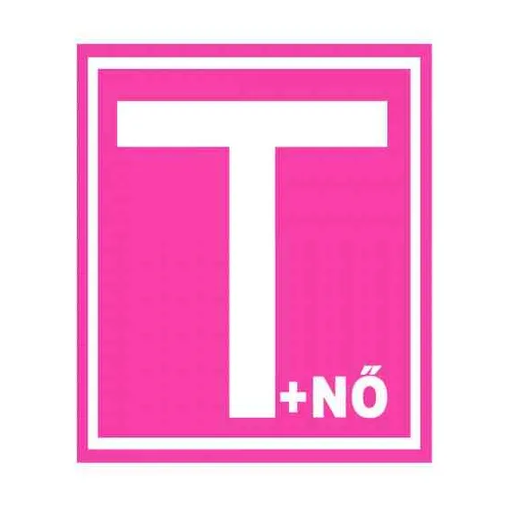 T+NŐ MÁGNESES TANULÓ RÓZSASZÍN T + NŐ 540 MATRICA DEKOR