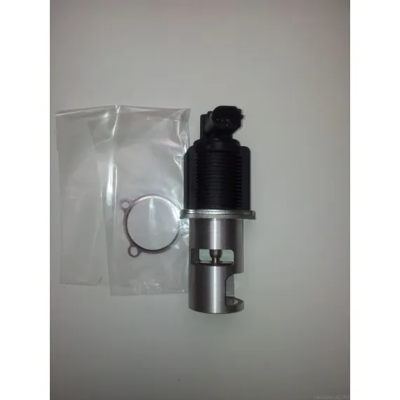 722818560 EGR RENAULT, OPEL MOVANO 2.2DTI 4404463
